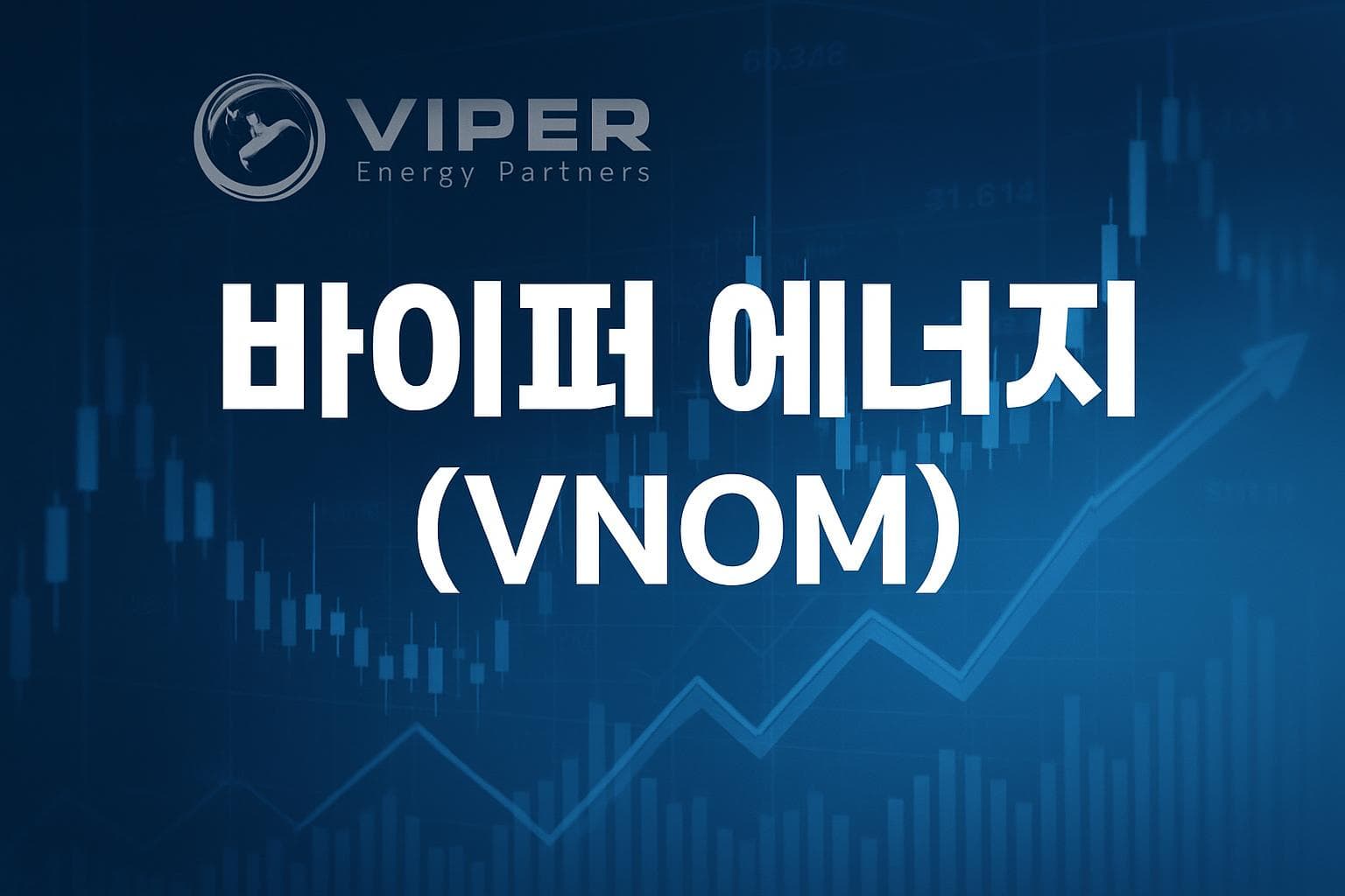 바이퍼 에너지 (VNOM) 주가 전망: 목표주가, 배당, 최신 뉴스