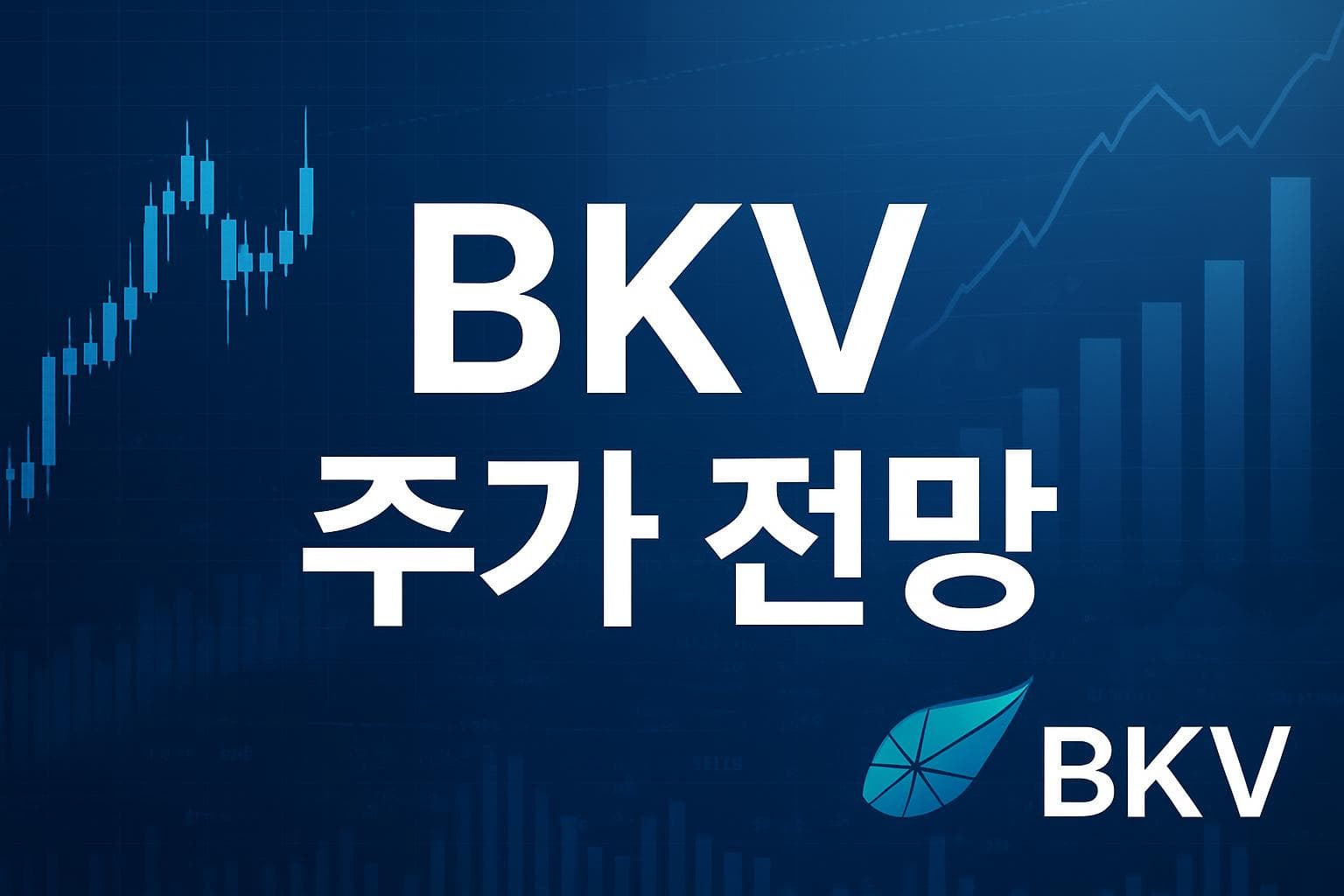 BKV (BKV) 주가 전망: 목표주가, 배당, 최신 뉴스