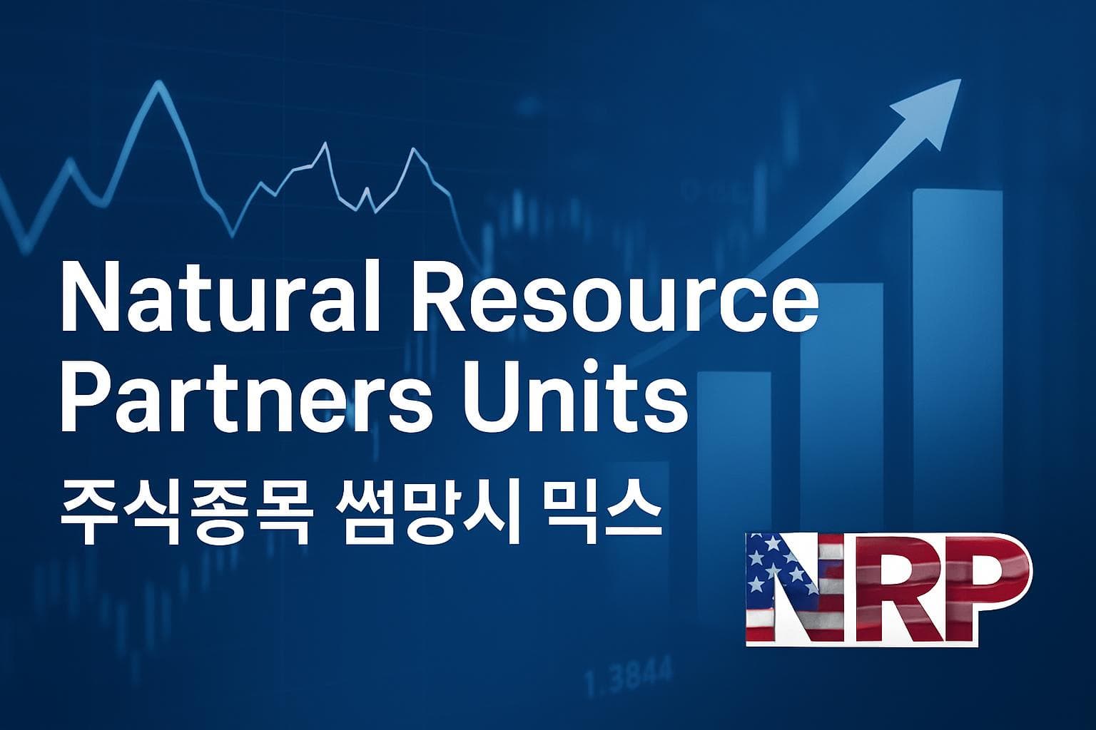 Natural Resource Partners Units (NRP) 주가 전망: 목표주가, 배당, 최신 뉴스