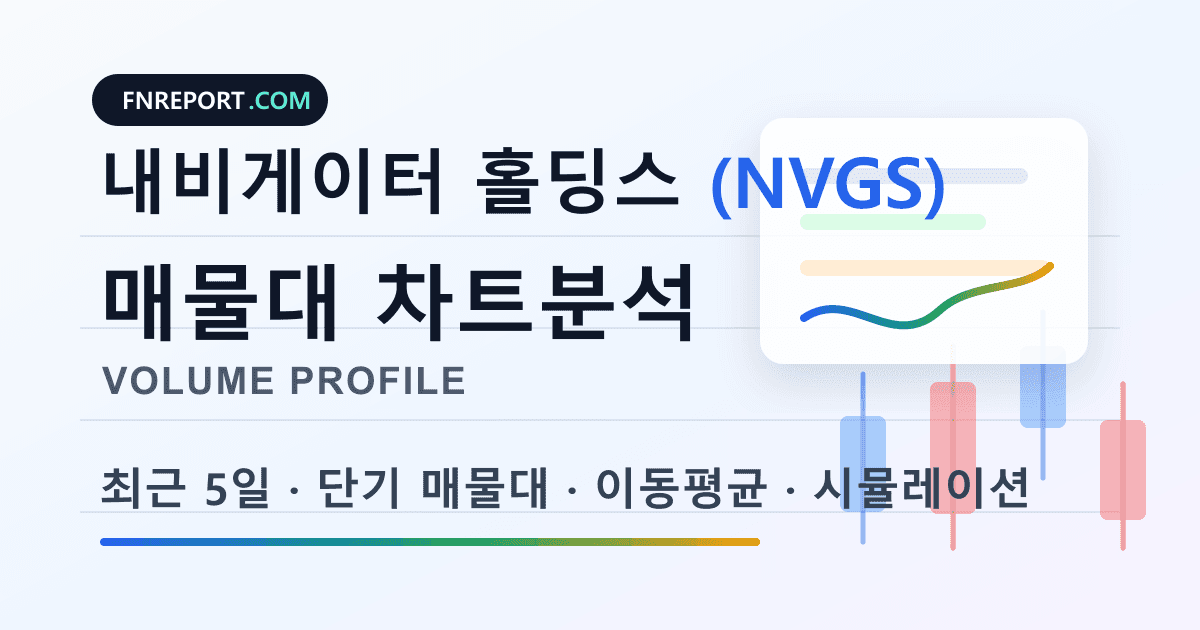 내비게이터 홀딩스 (NVGS) 차트분석