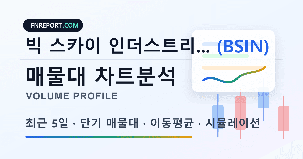 빅 스카이 인더스트리얼 (BSIN) 차트분석