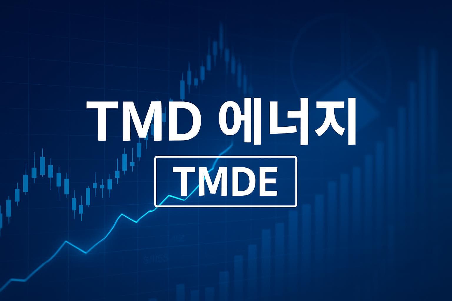 TMD 에너지 (TMDE) 주가 전망: 목표주가, 배당, 최신 뉴스