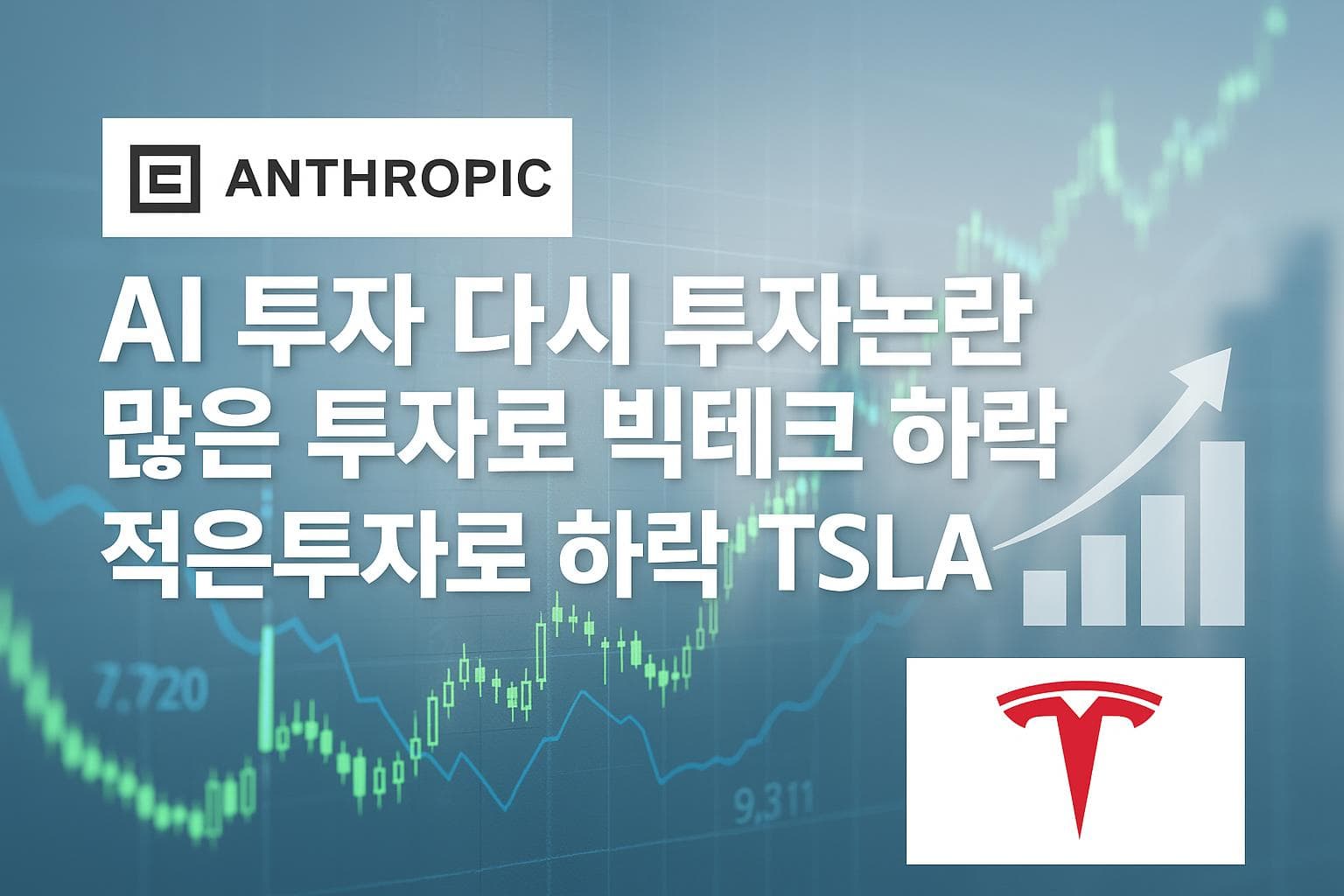 AI 투자 다시 투자논란 많은 투자로 빅테크 하락, 적은투자로 하락 TSLA